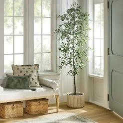 Shady Lady Tree In Ceramic Pot - Threshold™ Designed With Studio McGee