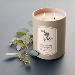 20oz Ceramic Blackberry Eucalyptus Candle Green - Threshold™ Designed With Studio McGee